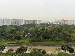 The Rivervale (D19), Condominium #568178871